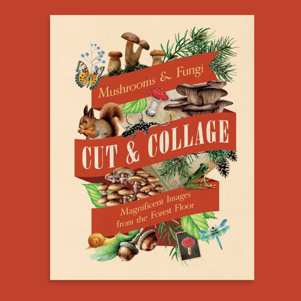 Cut & Collage: Mushrooms & Fungi Ephemera for Journaling & Collage