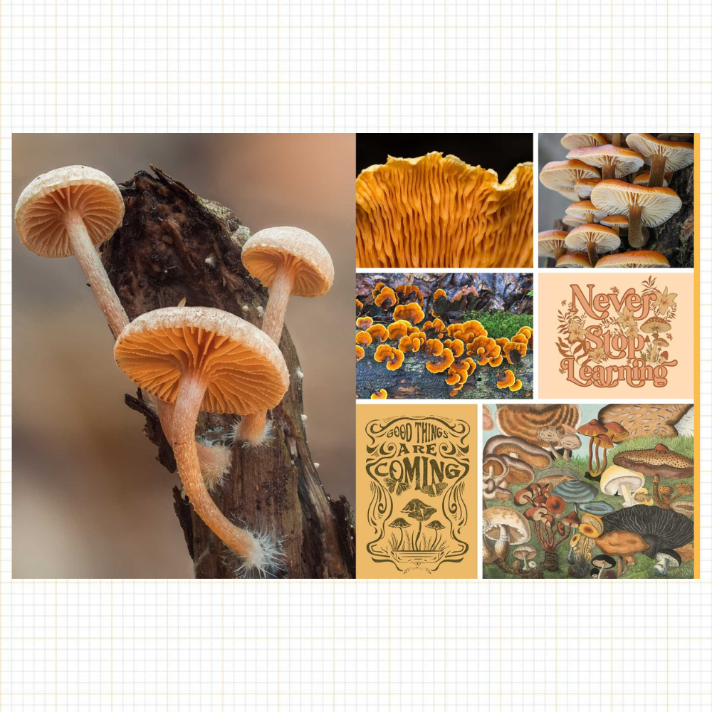 Cut & Collage: Mushrooms & Fungi Ephemera for Journaling & Collage