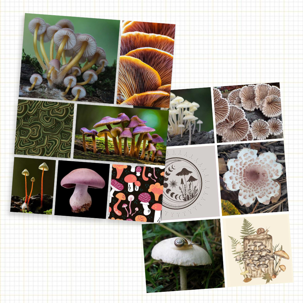 Cut & Collage: Mushrooms & Fungi Ephemera for Journaling & Collage