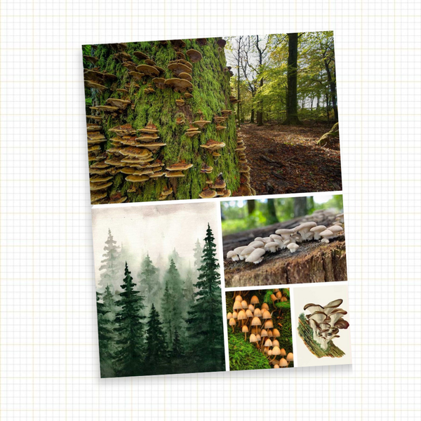 Cut & Collage: Mushrooms & Fungi Ephemera for Journaling & Collage