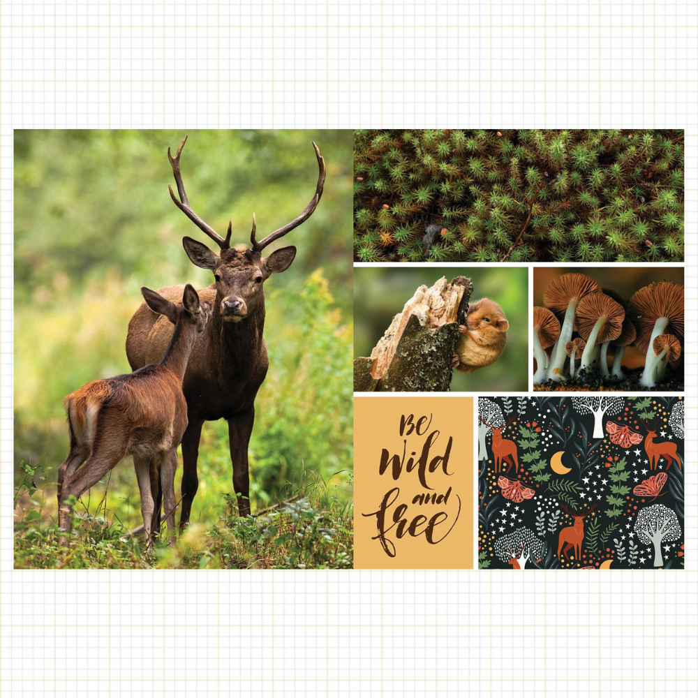 Cut & Collage: Woodland Creatures | Ephemera for Journaling & Collage