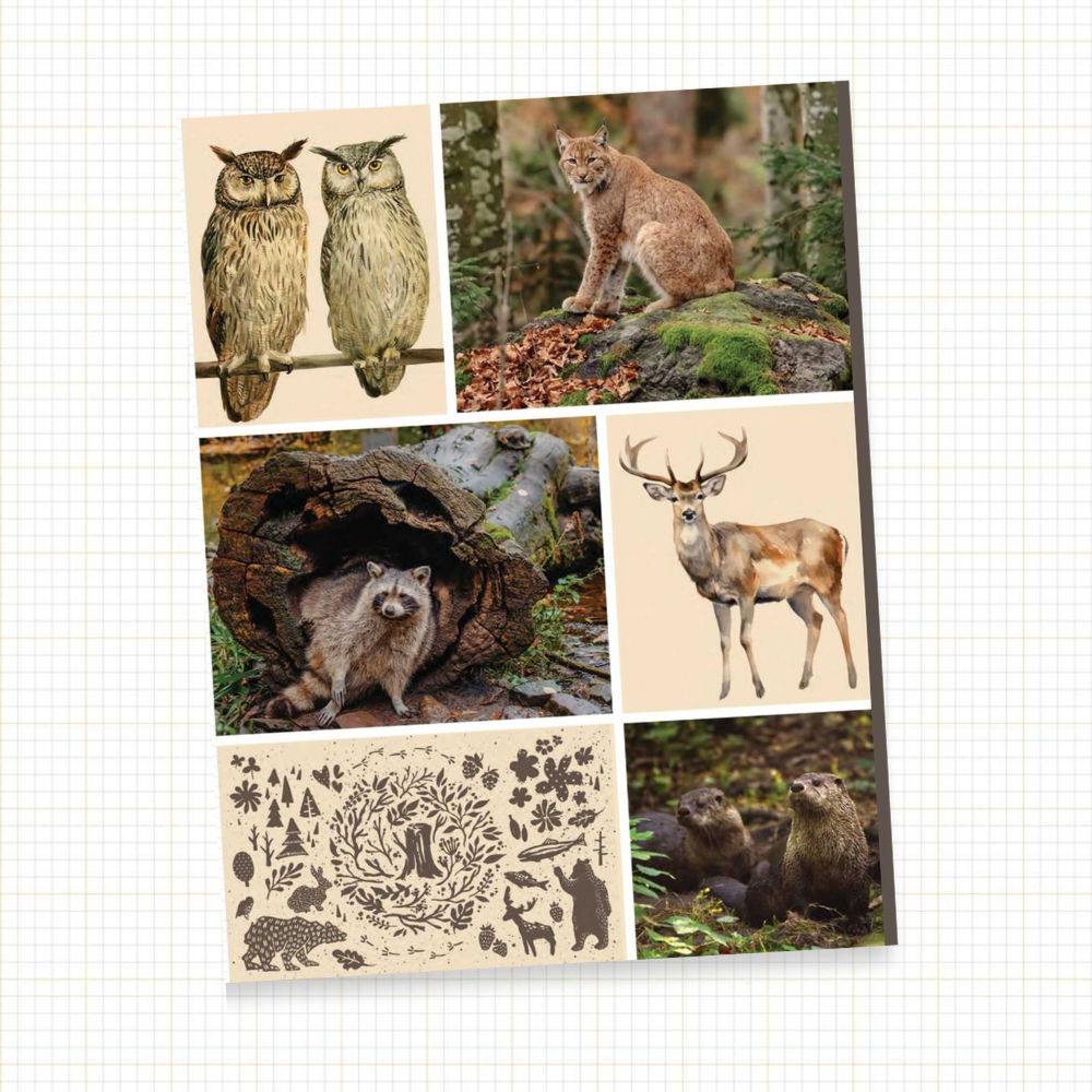 Cut & Collage: Woodland Creatures | Ephemera for Journaling & Collage