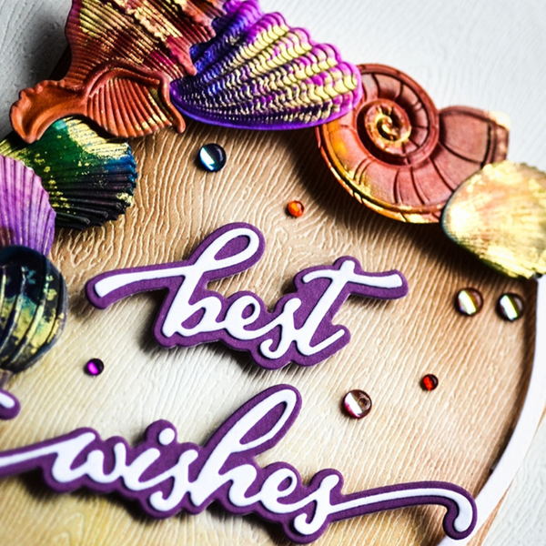 Dazzling Seashells 3D Embossing Folder + Die Set