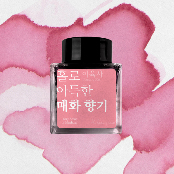 Dizzy Scent of Maehwa Fountain Pen Ink