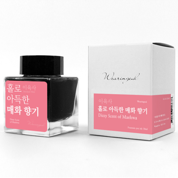 Dizzy Scent of Maehwa Fountain Pen Ink