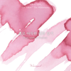 Dizzy Scent of Maehwa Fountain Pen Ink