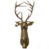 E+E Wall Mount | Frankie the Stag
