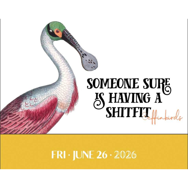 Effin_Birds_2026_Day_to_Day_Calendar__Aaron_Reynolds