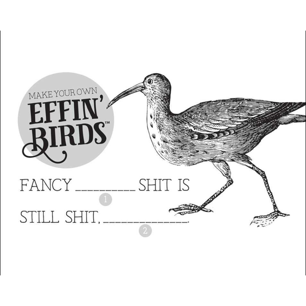 Effin_Birds_2026_Day_to_Day_Calendar__Aaron_Reynolds