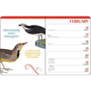 {coming soon!} Effin' Birds 2026 Monthly/Weekly Planner | Aaron Reynolds