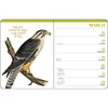 {coming soon!} Effin' Birds 2026 Monthly/Weekly Planner | Aaron Reynolds