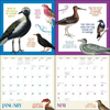 {coming soon!} Effin' Birds 2026 Monthly Wall Calendar | Aaron Reynolds