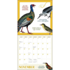 {coming soon!} Effin' Birds 2026 Monthly Wall Calendar | Aaron Reynolds