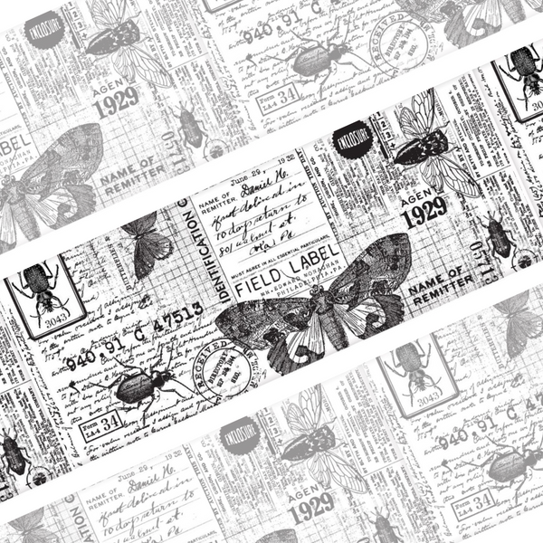 Entomology Collage Paper | Idea-ology
