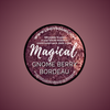 Enchanted Garden Shimmer Magicals