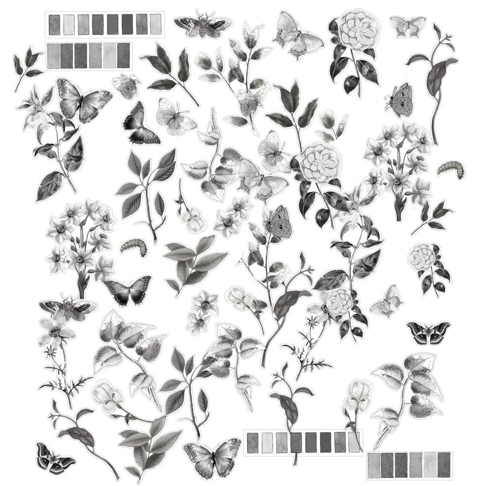 Charcoal Acetate Assortment | Color Swatch