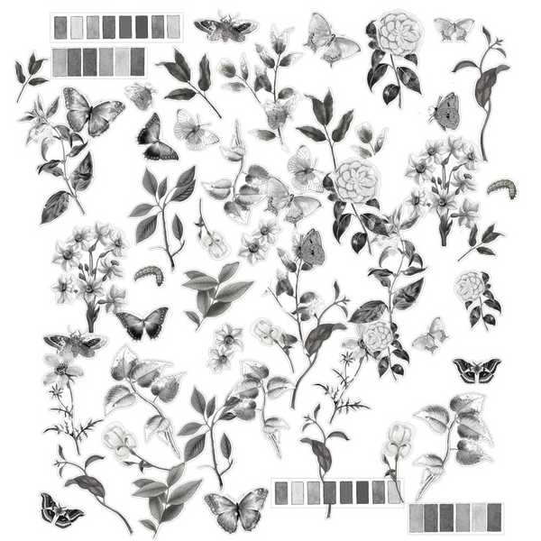 Charcoal Acetate Assortment | Color Swatch