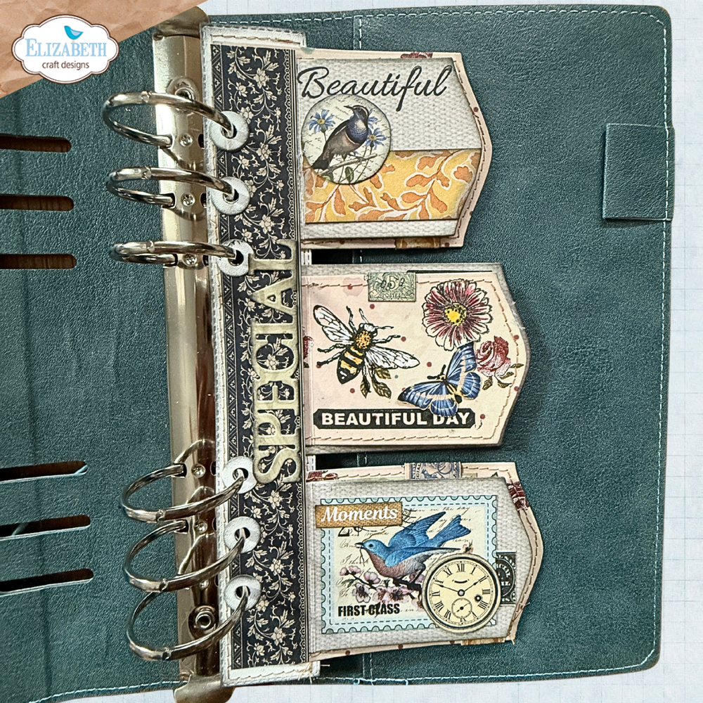 Pocket Page Inserts 1 Die Set | Delightful Discovery {preorder}