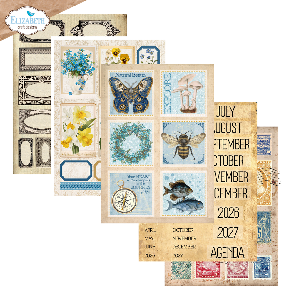 Everyday Ephemera | Delightful Discovery {preorder}