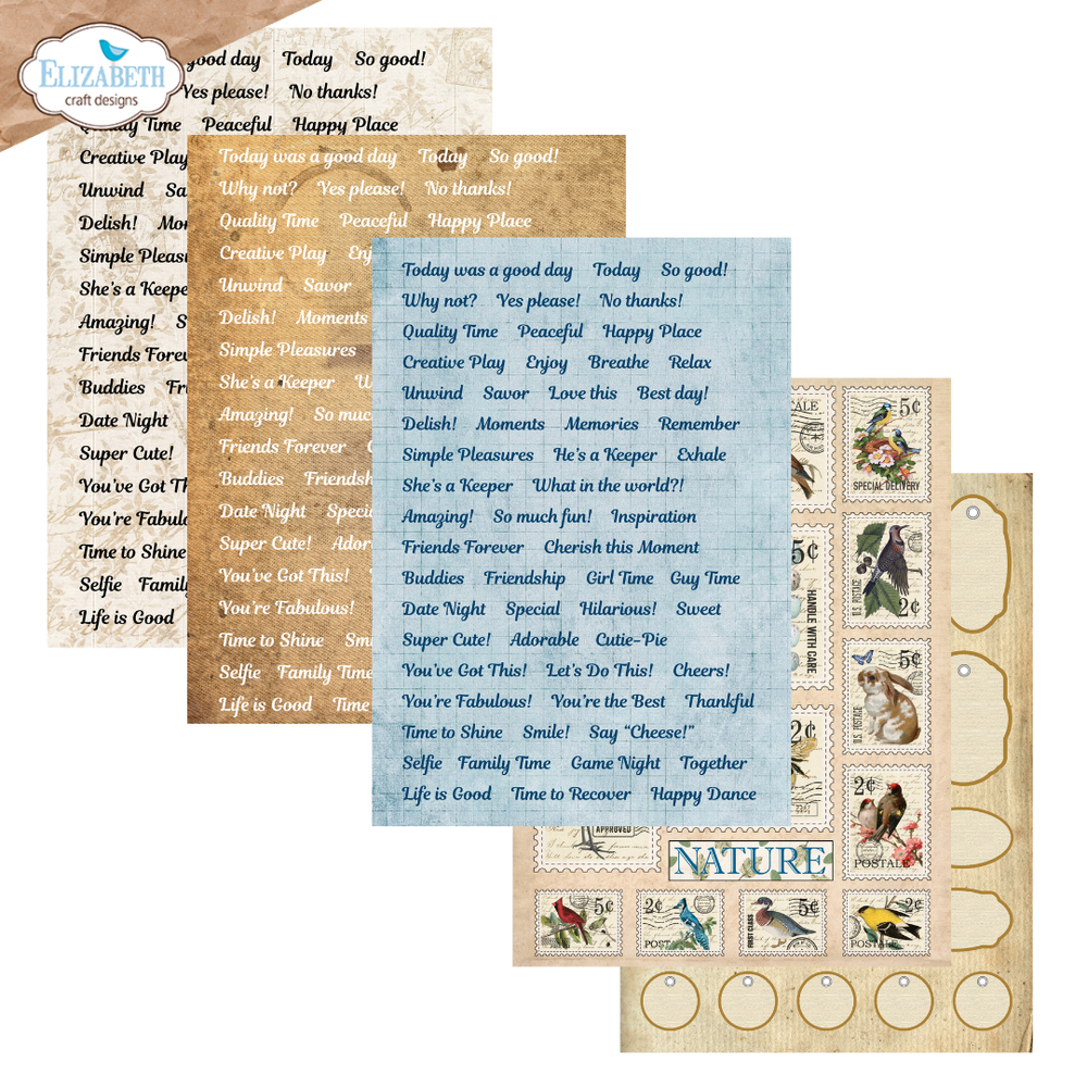 Everyday Ephemera | Delightful Discovery {preorder}