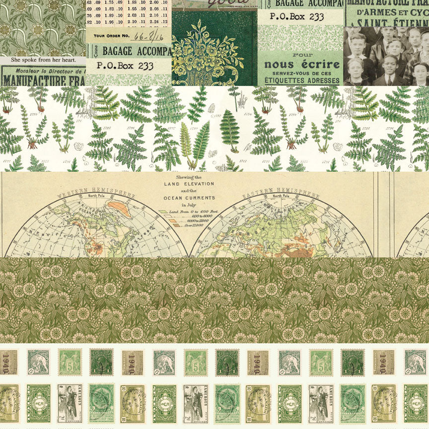{coming soon!} Palette Collection: Green | 8x8 Double-Sided Cardstock Paper Pack | idea-ology