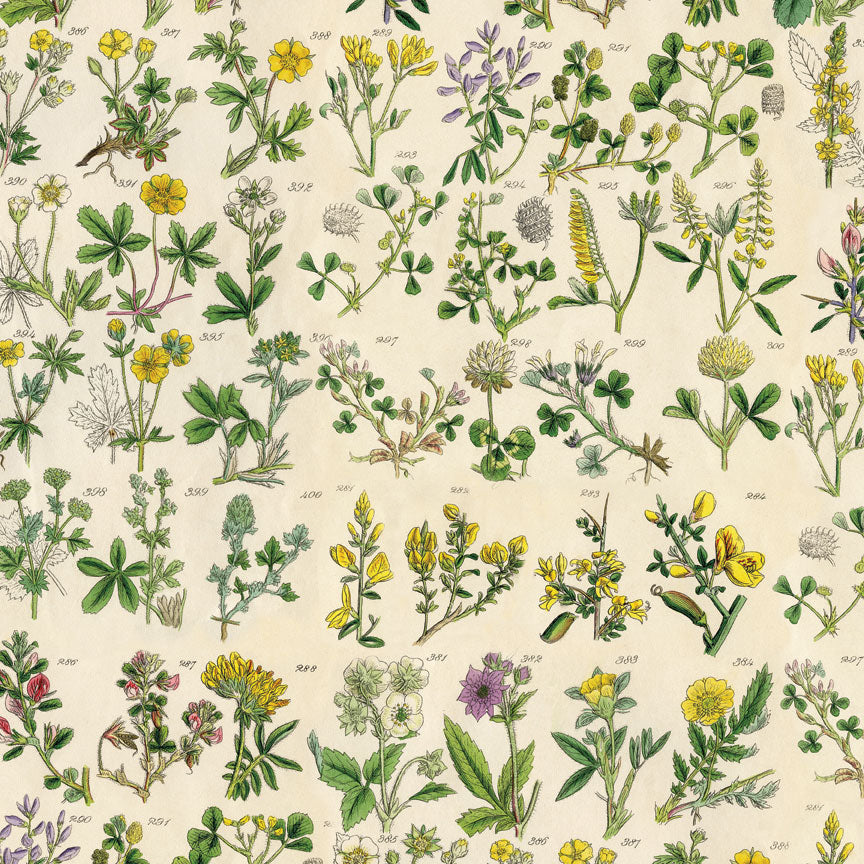 {coming soon!} Palette Collection: Yellow | 12x12 Double-Sided Cardstock Paper Pack | idea-ology