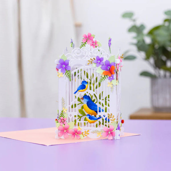 Birdcage 3d Pop-Up Card Metal Die Set