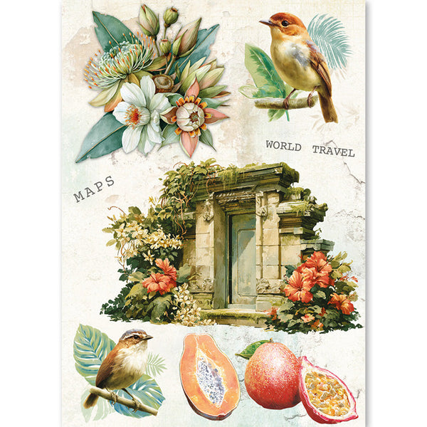 Asia Diary A5 Mixed 8pc Rice Paper
