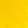 Everlasting Brights Flat Fabio Spray Set 5-pack | Cat Kerr