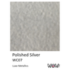Polished Silver Embossing Powder
