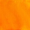 Everlasting Brights Flat Fabio Spray Set 5-pack | Cat Kerr