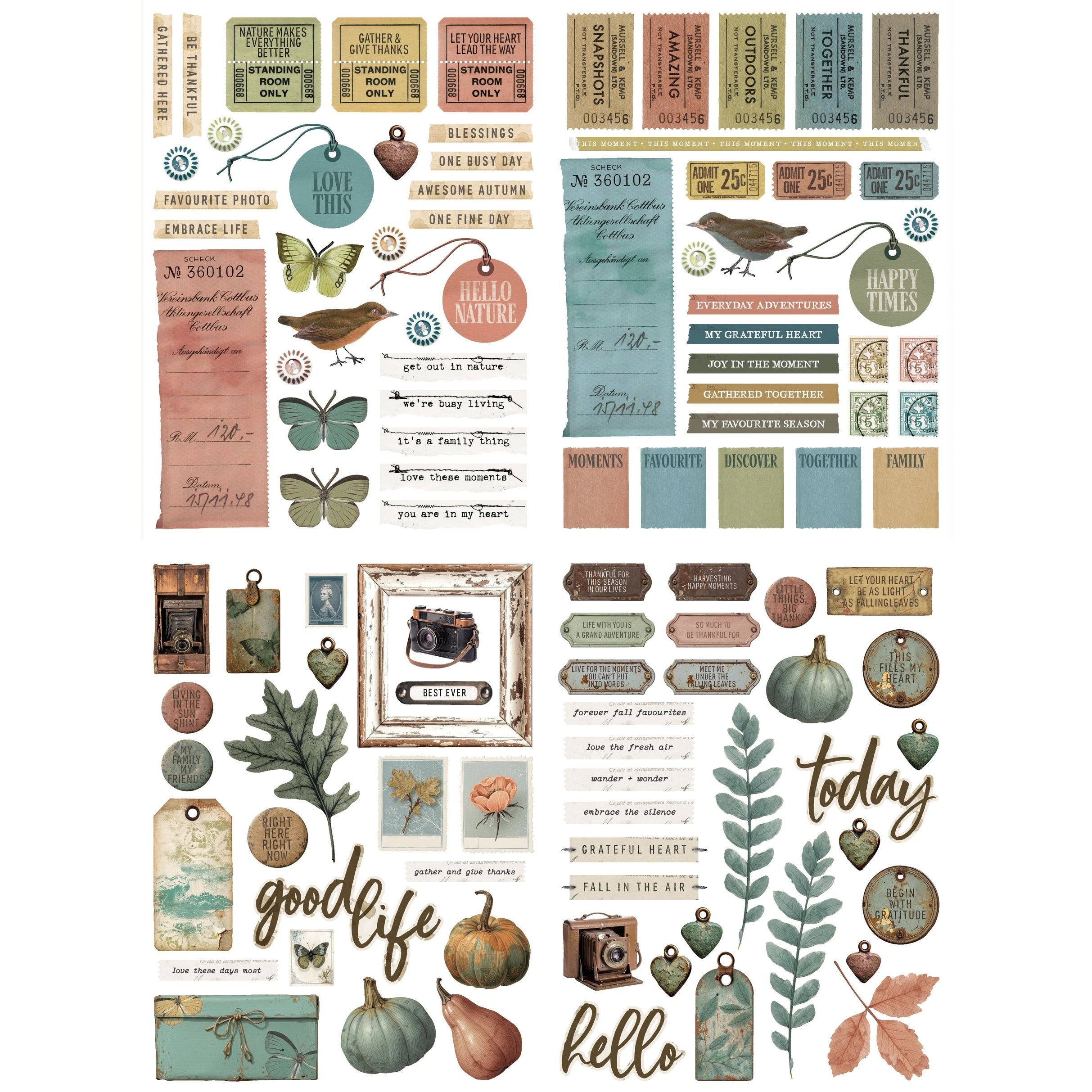 Amber Ledgers Essentials Laser Cuts