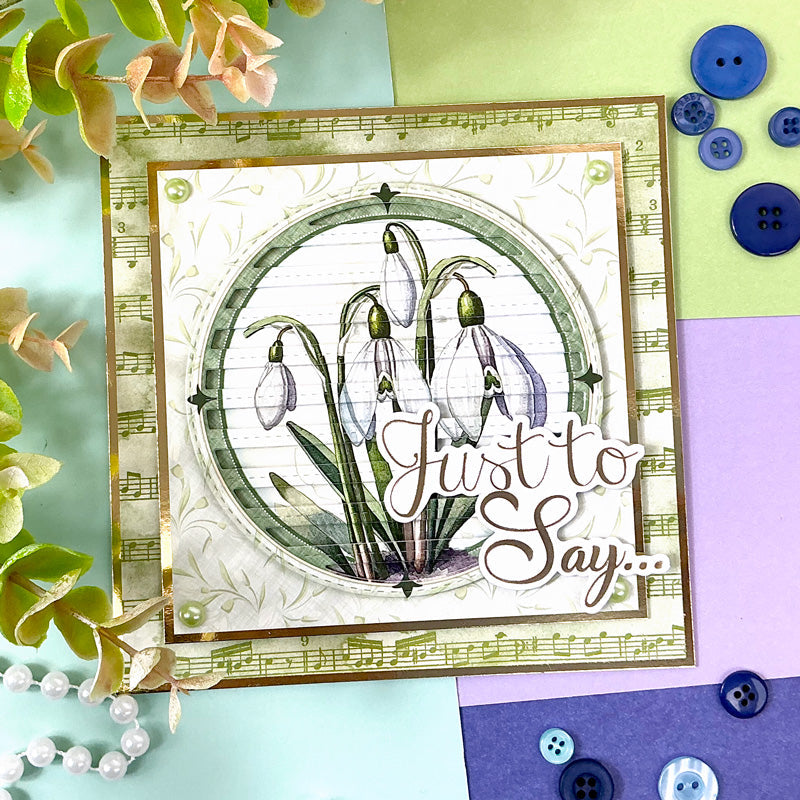 Circle Striped Panel Die Set | Moonstone Dies