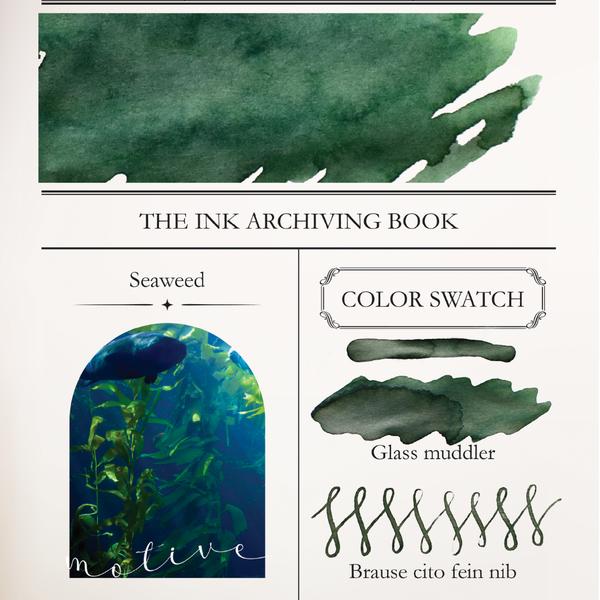 Seaweed | Archiving Series