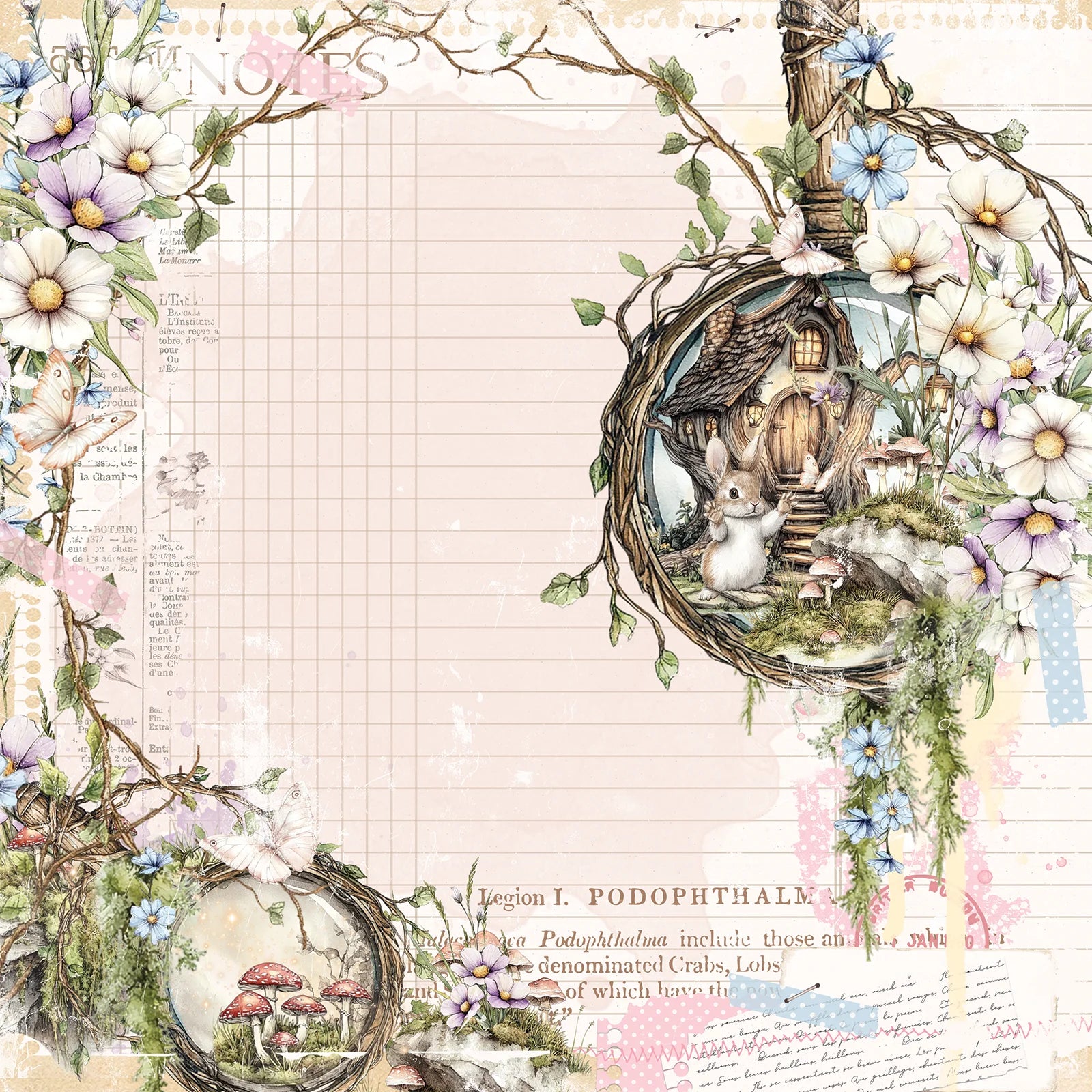 Looking Glass 12x12 Collection Pack