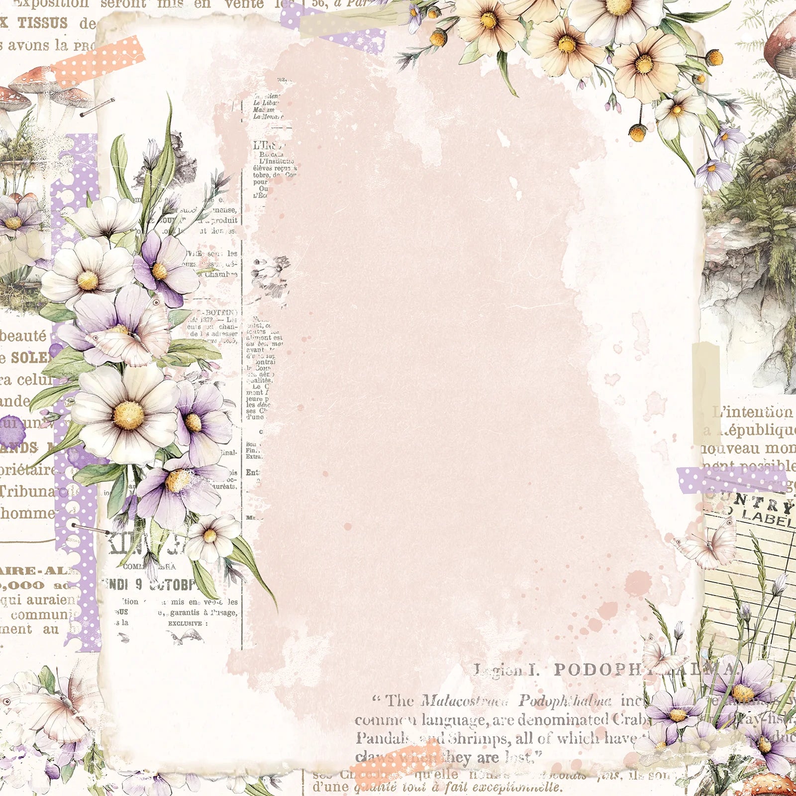 Looking Glass 12x12 Collection Pack