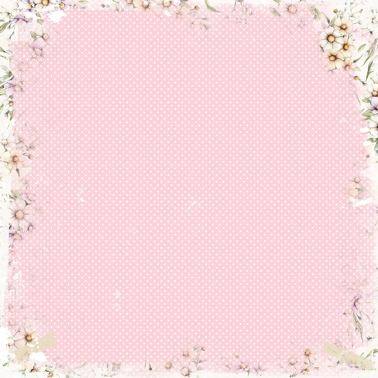 Looking Glass 12x12 Collection Pack