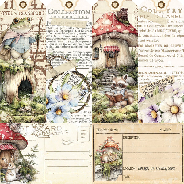 Looking Glass 12x12 Collection Pack