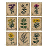 Faraway Mail Sticker Set