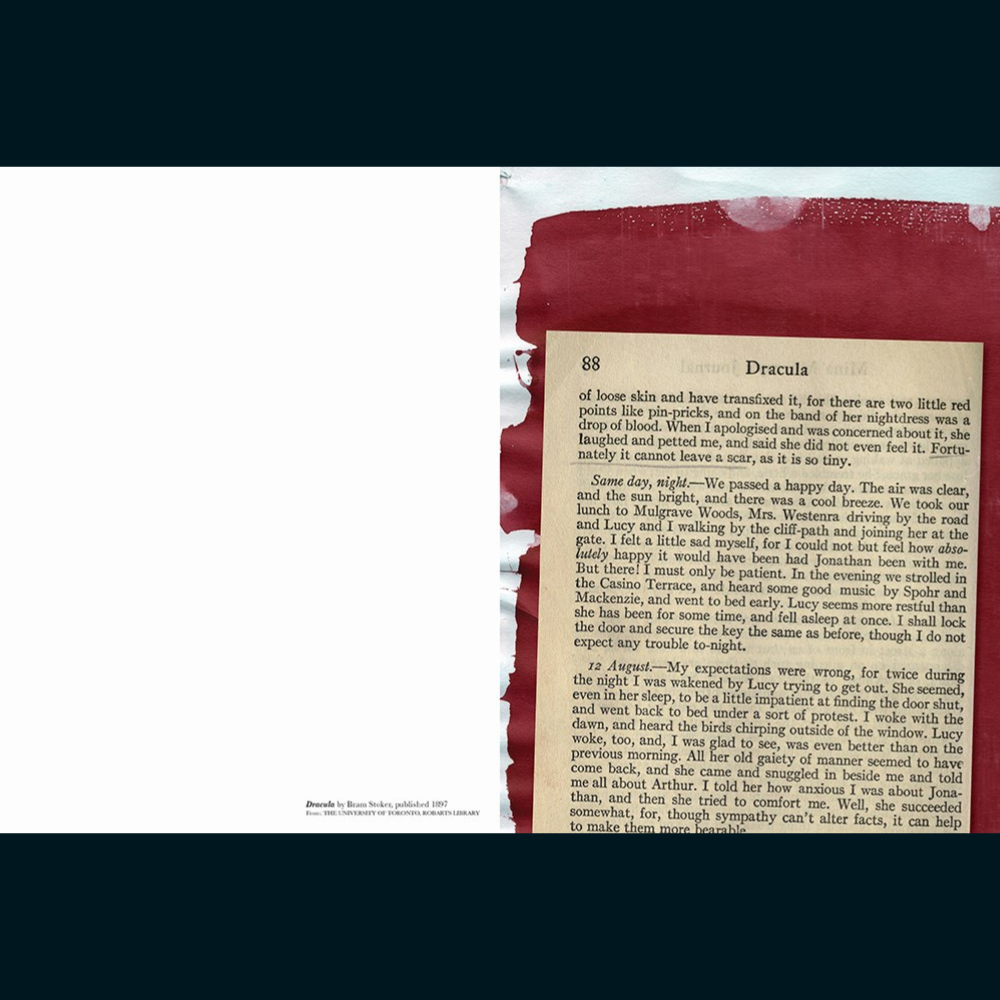 Make Blackout Poetry: Turn These Pages into Poems