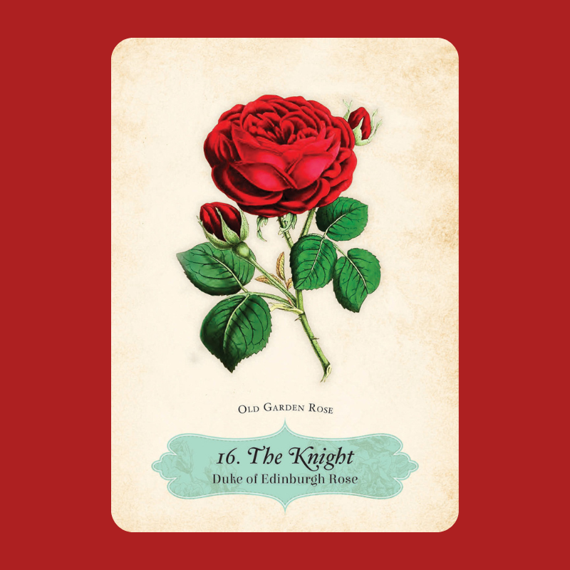 Oracle of The Roses Deck | Cheralyn Darcey