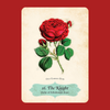 Oracle of The Roses Deck | Cheralyn Darcey