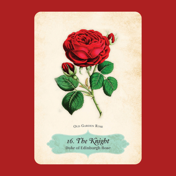 Oracle of The Roses Deck | Cheralyn Darcey