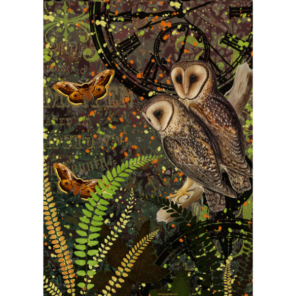 Owl Pair A3 Rice Paper