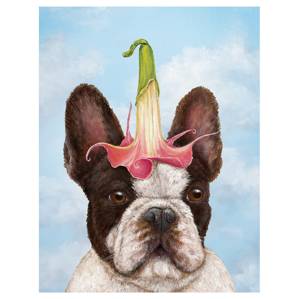 Guest of Honor Flower Frenchie