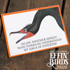 Greetings from Effin' Birds Notecard Set