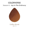 Coffee Break 30mL Fountain Pen Ink