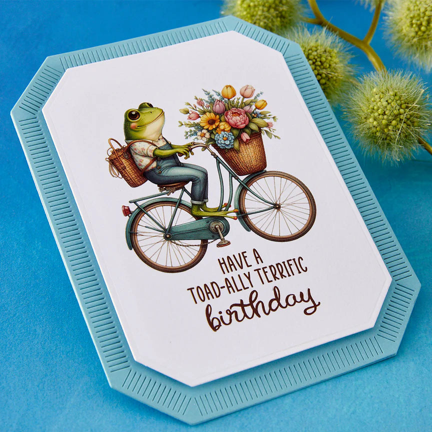 Little Leaps Rub-Ons