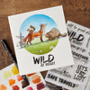Words for the Wild Clear Stamp Set | Josh Griffiths Studio
