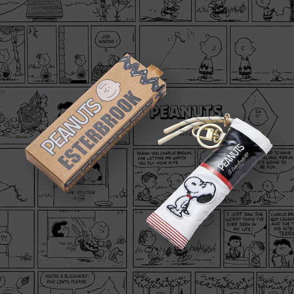Peanuts-themed pen case and packaging on a background with comic strip panels.